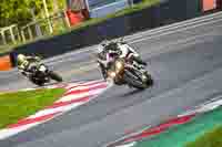 Evening Low_Mid Group Multicolour Bikes